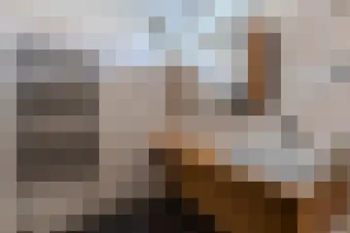 Kopakker 4 Koog aan de Zaan thumbnail 21
