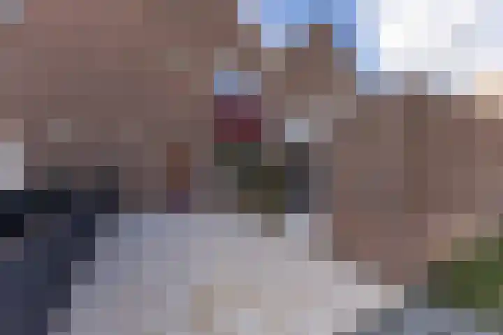 Kopakker 4 Koog aan de Zaan thumbnail 25