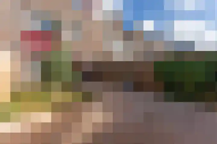 Kopakker 4 Koog aan de Zaan thumbnail 26