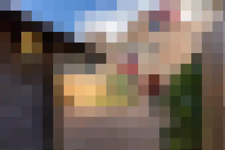 Kopakker 4 Koog aan de Zaan thumbnail 27