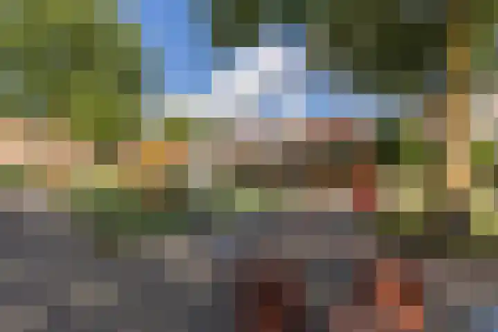 Kopakker 4 Koog aan de Zaan thumbnail 29