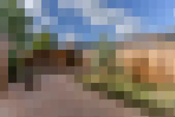 Kopakker 4 Koog aan de Zaan foto 3