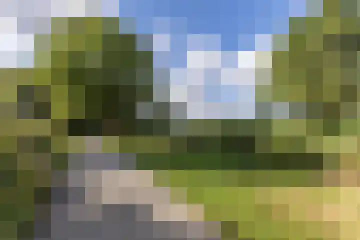 Kopakker 4 Koog aan de Zaan thumbnail 30