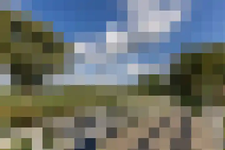 Kopakker 4 Koog aan de Zaan thumbnail 4