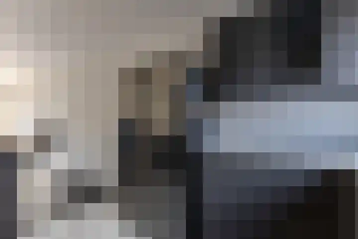 Kopakker 4 Koog aan de Zaan thumbnail 8