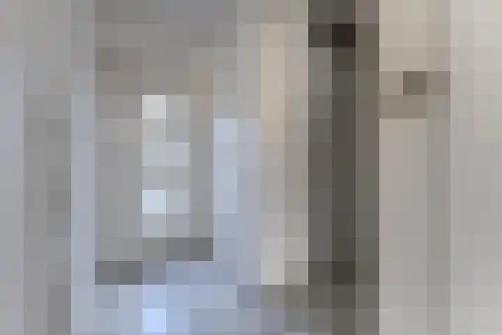 Kopakker 4 Koog aan de Zaan thumbnail 9