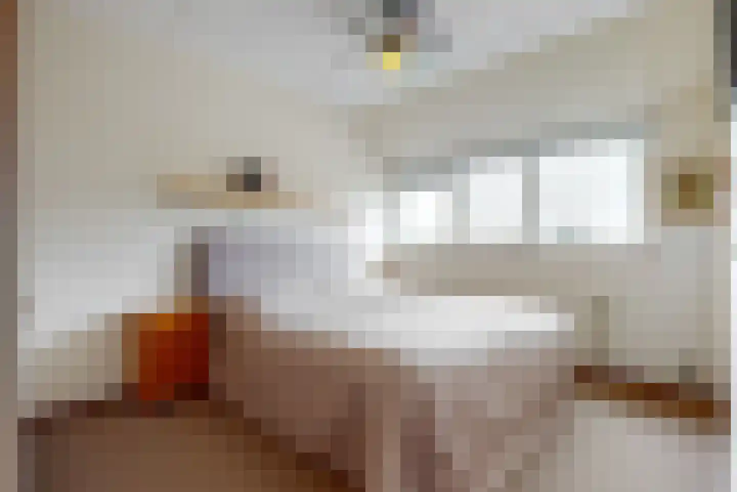 Kopakker 59 Purmerend thumbnail 15