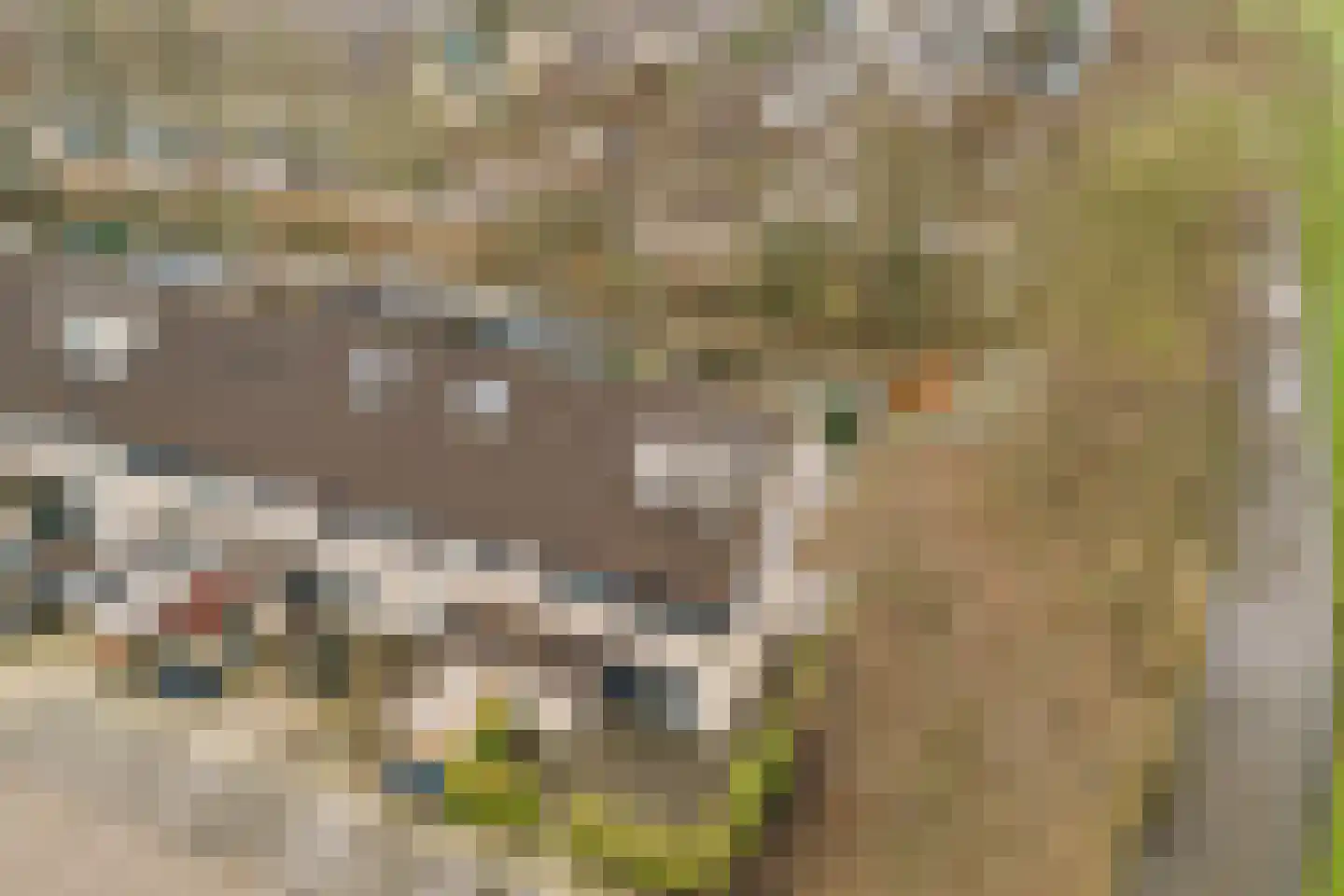 Kopakker 59 Purmerend thumbnail 32