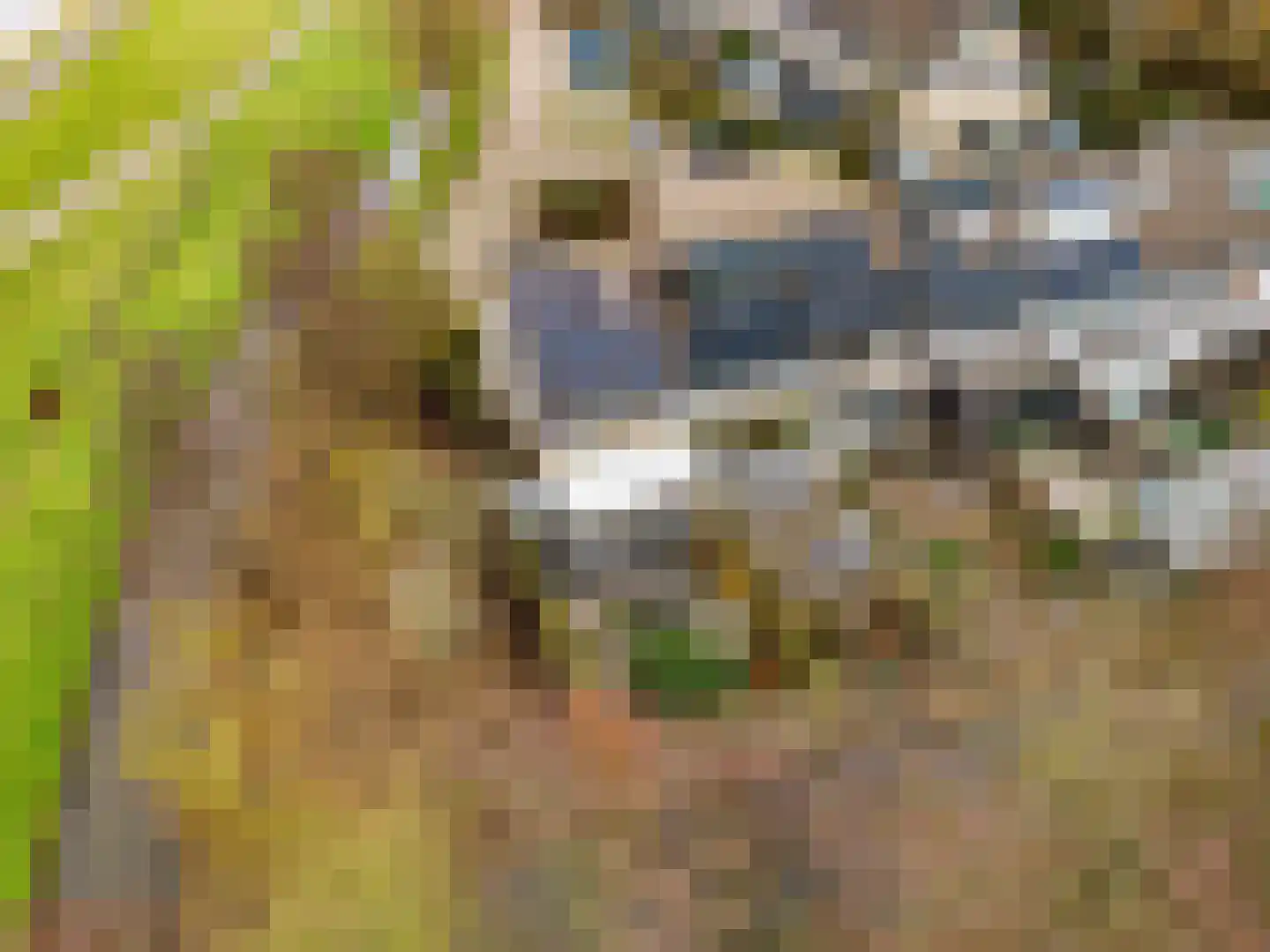 Kopakker 59 Purmerend thumbnail 33