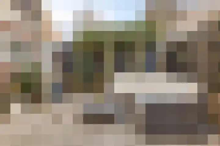 Kopdammerdijk 7 Grootschermer thumbnail 16