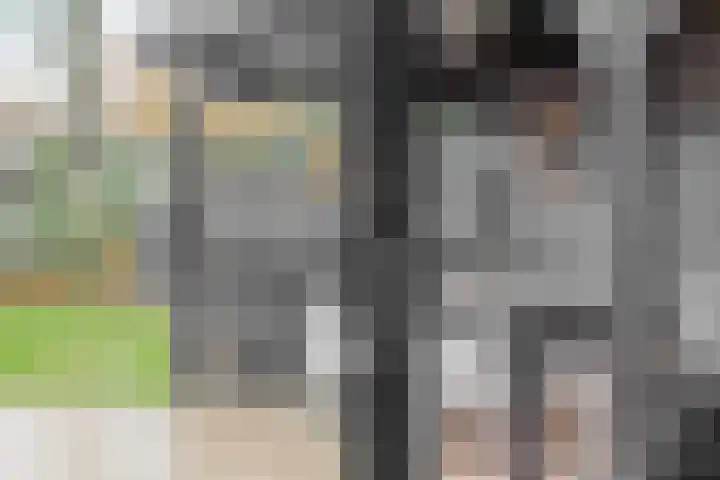 Kopdammerdijk 7 Grootschermer thumbnail 17