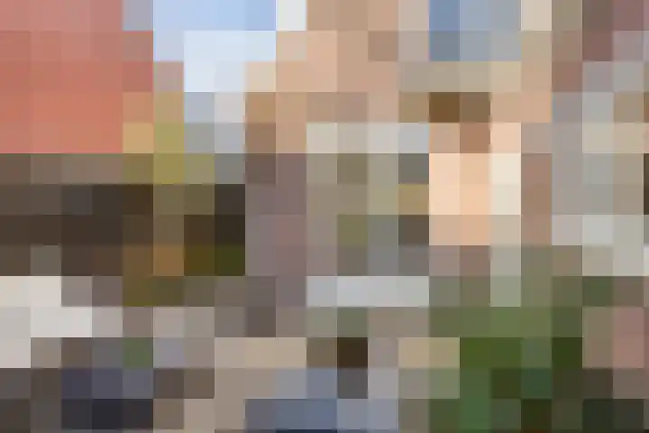 Kopdammerdijk 7 Grootschermer thumbnail 17