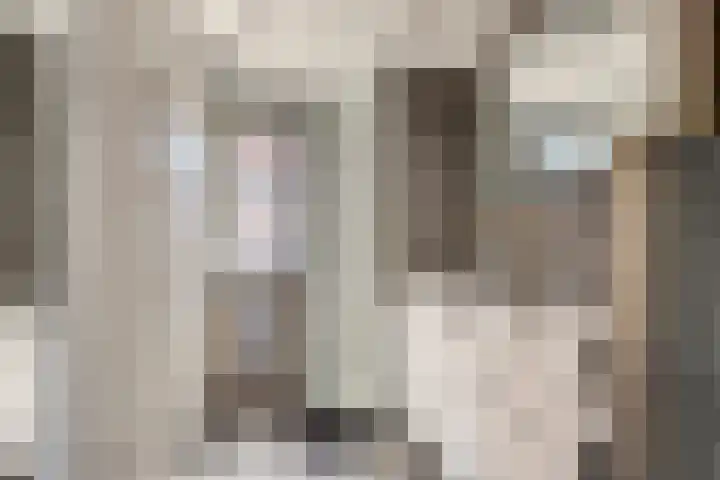 Kopdammerdijk 7 Grootschermer thumbnail 22