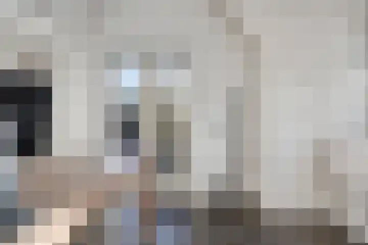 Kopdammerdijk 7 Grootschermer thumbnail 28
