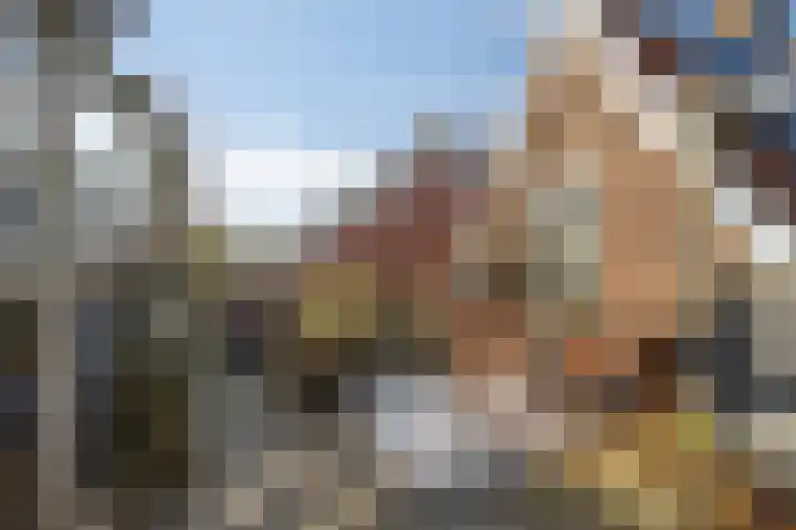 Kopdammerdijk 7 Grootschermer thumbnail 29