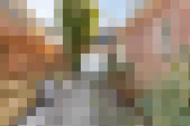 Kopdammerdijk 7 Grootschermer thumbnail 31