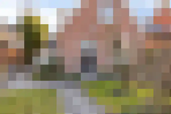 Kopdammerdijk 7 Grootschermer thumbnail 34