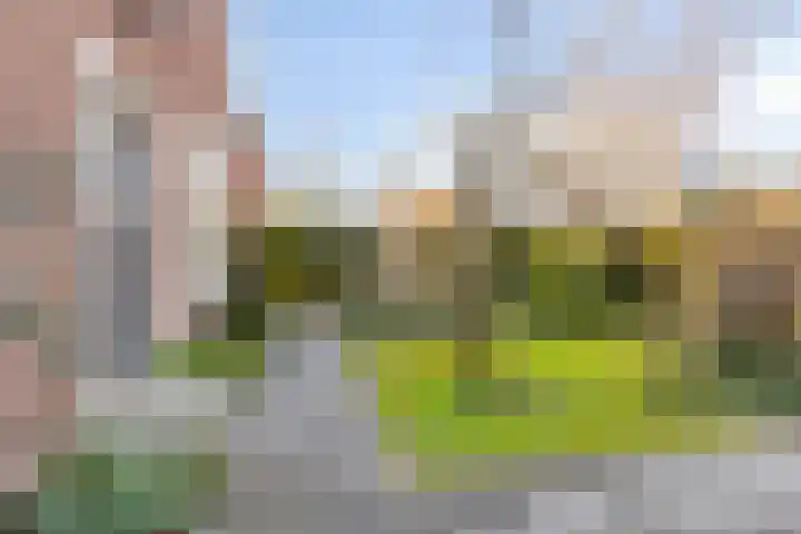 Kopdammerdijk 7 Grootschermer thumbnail 35