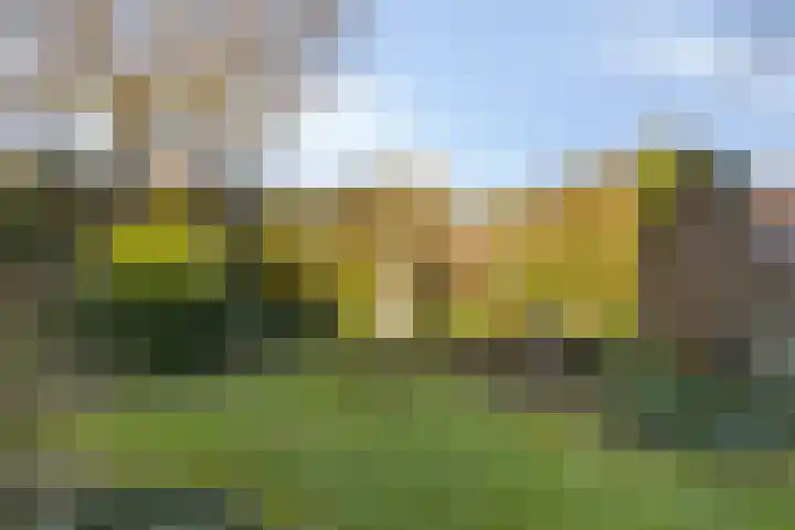 Kopdammerdijk 7 Grootschermer thumbnail 37