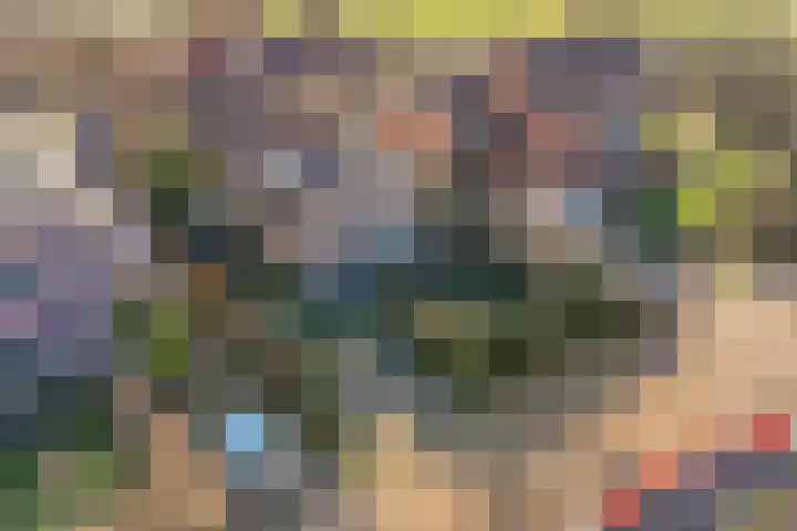 Kopdammerdijk 7 Grootschermer thumbnail 38