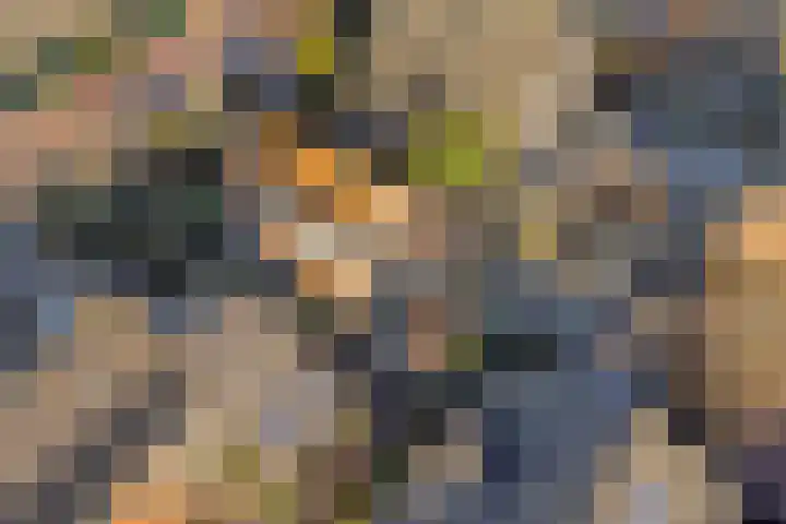 Kopdammerdijk 7 Grootschermer thumbnail 40