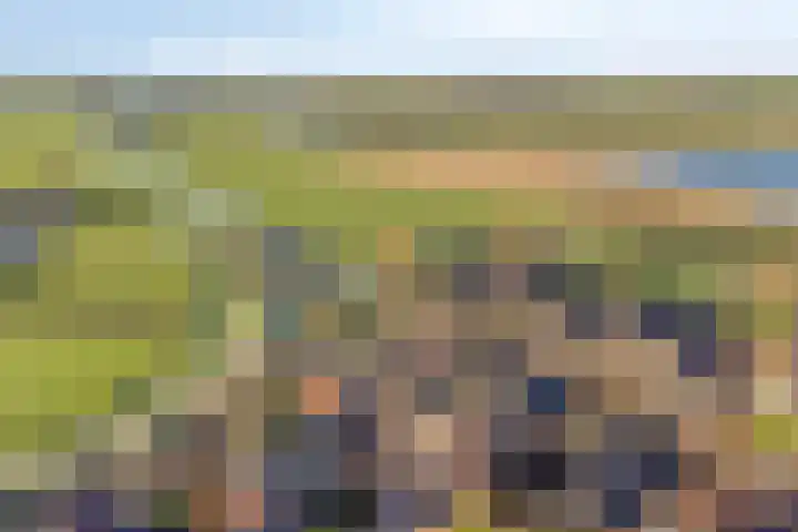 Kopdammerdijk 7 Grootschermer thumbnail 43