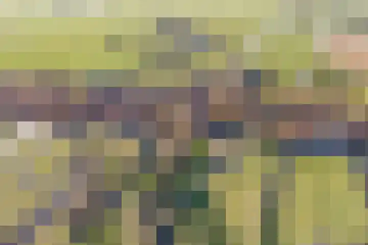 Kopdammerdijk 7 Grootschermer thumbnail 44
