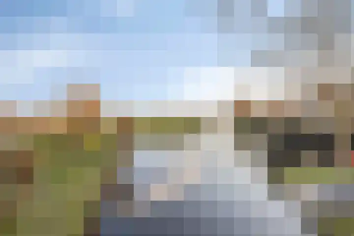 Kopdammerdijk 7 Grootschermer thumbnail 45