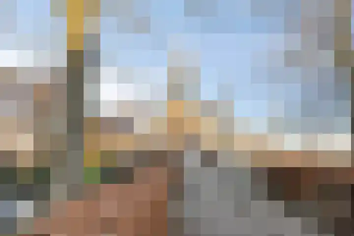 Kopdammerdijk 7 Grootschermer thumbnail 47