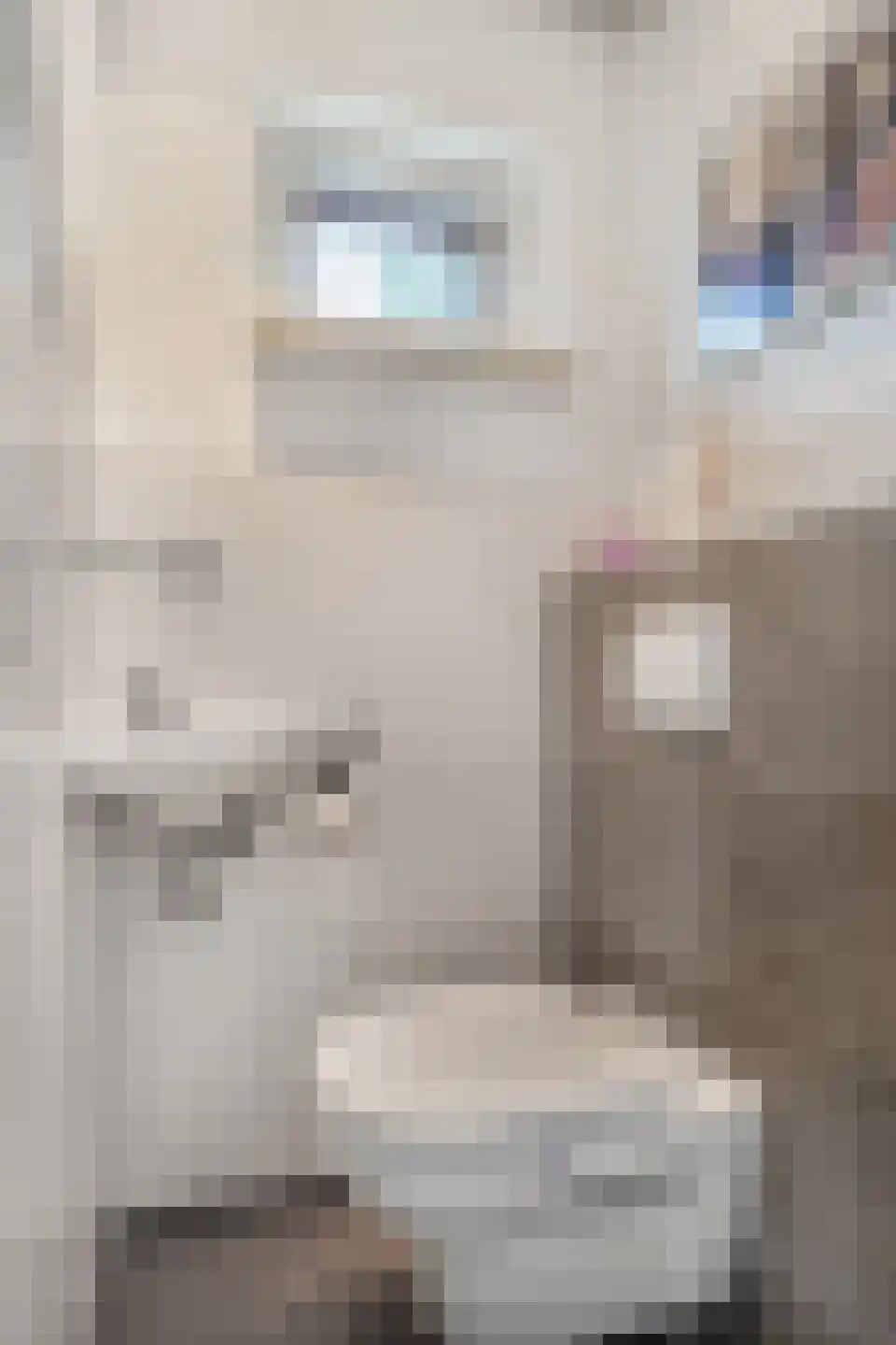 Kopeinde 12 Zaltbommel thumbnail 12