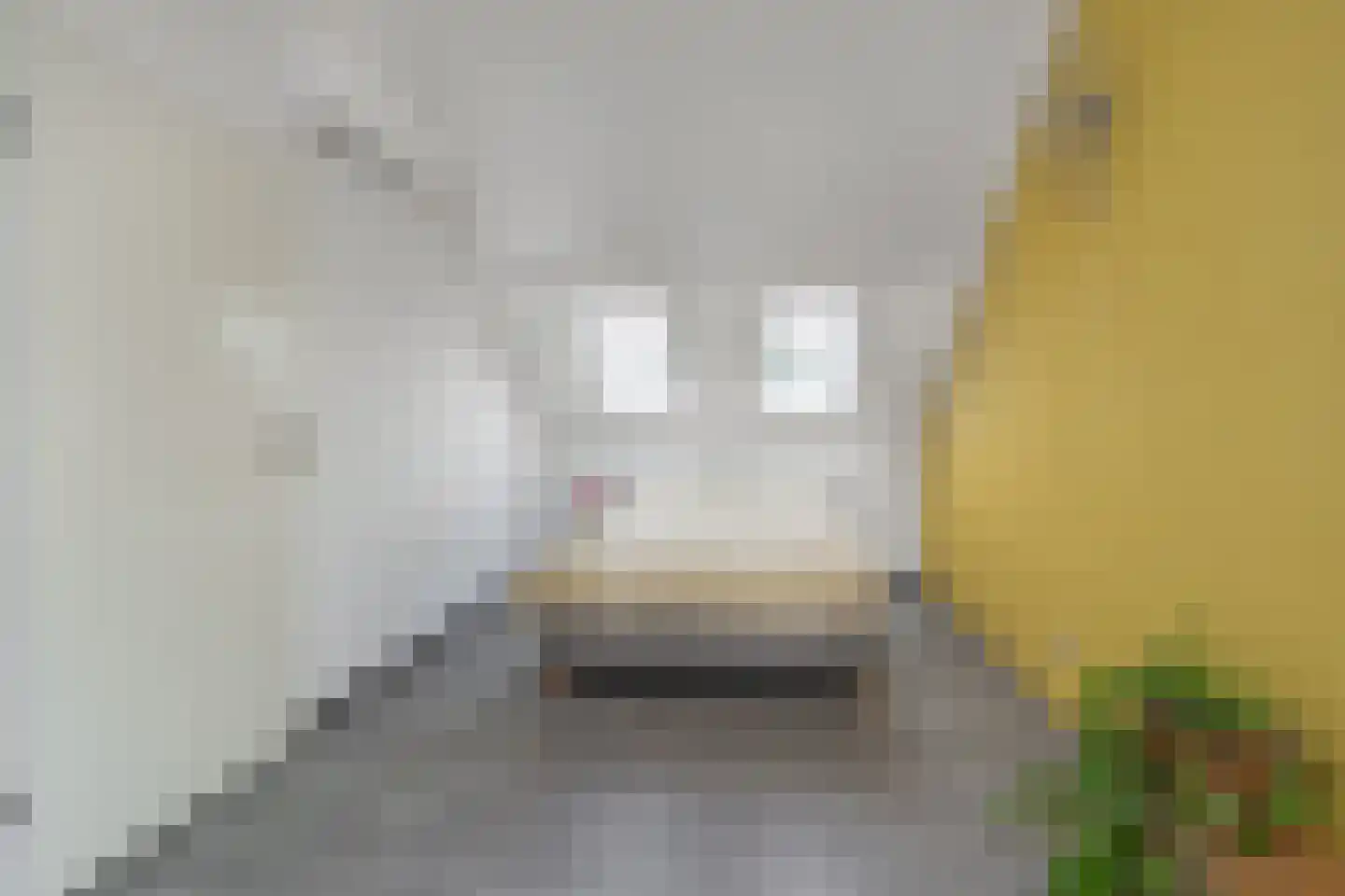 Kopeinde 12 Zaltbommel thumbnail 26