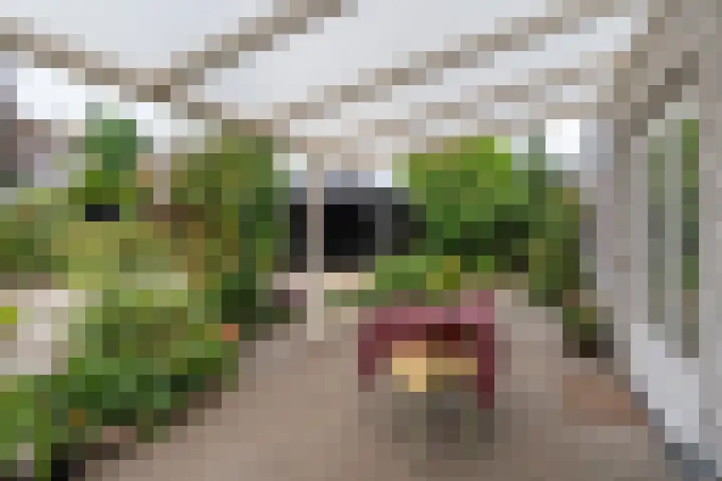 Kopeinde 12 Zaltbommel thumbnail 28