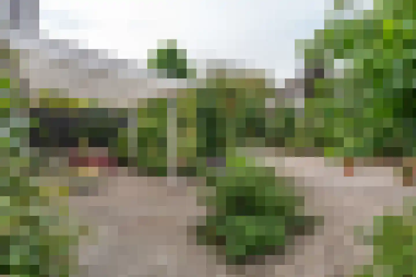 Kopeinde 12 Zaltbommel thumbnail 31