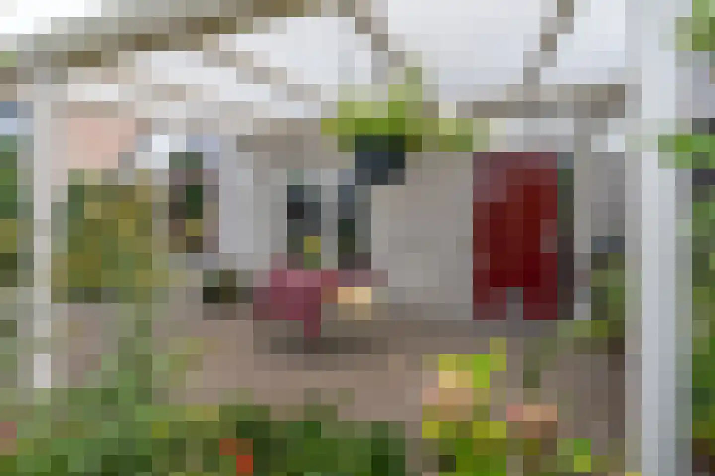 Kopeinde 12 Zaltbommel thumbnail 34