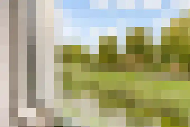 Kopenhagenlaan 86 Lelystad thumbnail 20