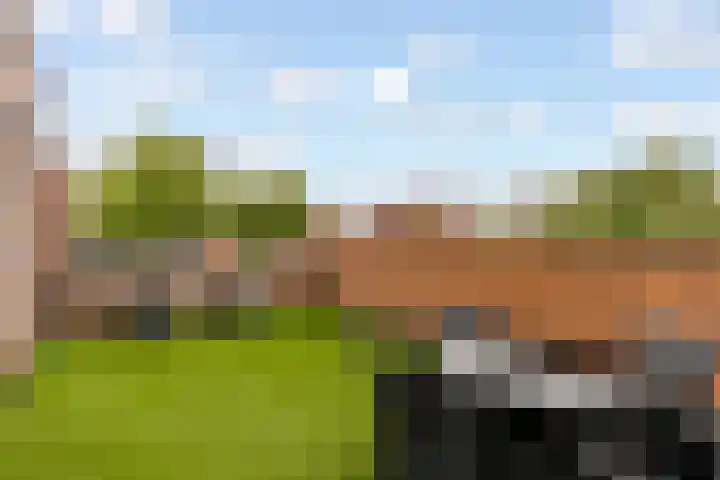 Kopenhagenlaan 86 Lelystad thumbnail 23