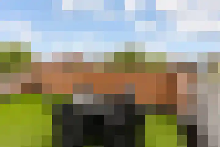 Kopenhagenlaan 86 Lelystad thumbnail 25