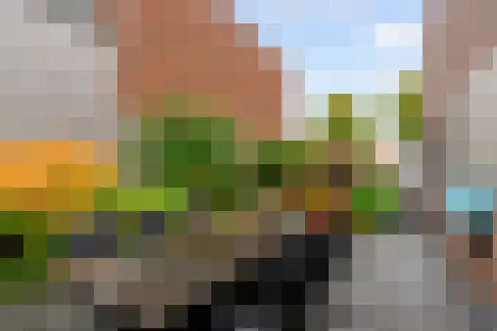 Kopenhagenlaan 86 Lelystad thumbnail 28