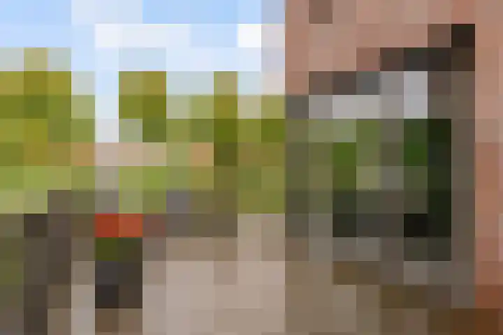 Kopenhagenlaan 86 Lelystad thumbnail 29
