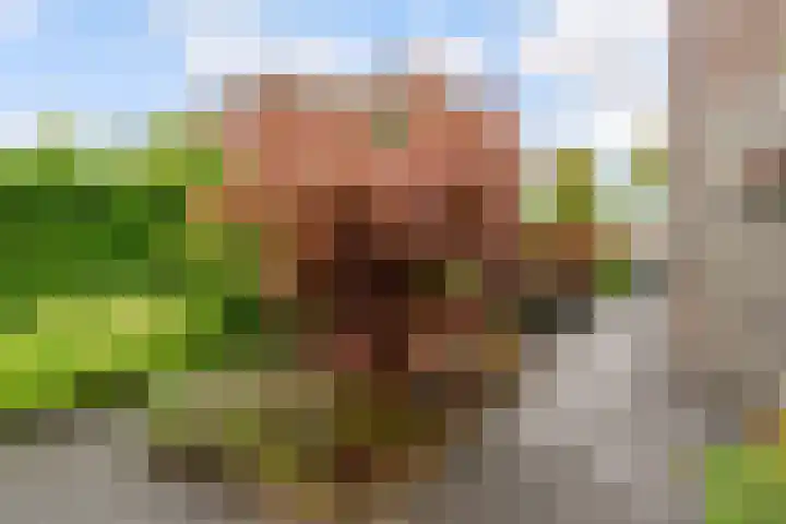 Kopenhagenlaan 86 Lelystad thumbnail 30