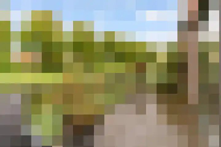 Kopenhagenlaan 86 Lelystad thumbnail 32