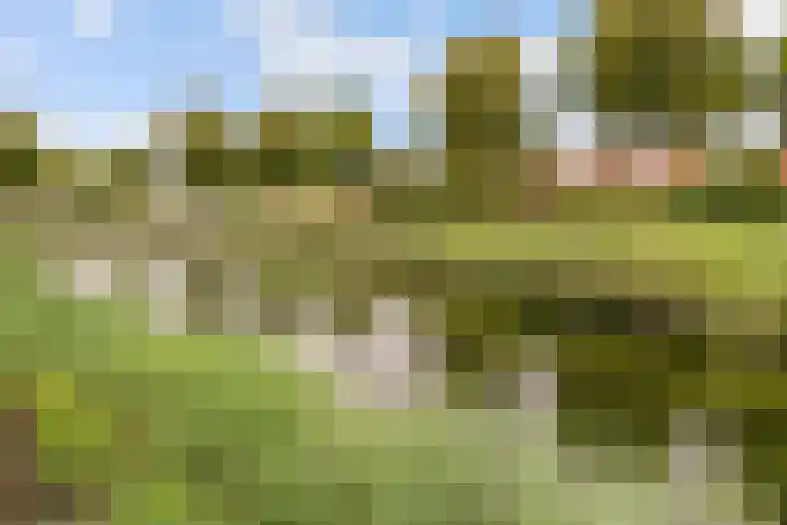 Kopenhagenlaan 86 Lelystad thumbnail 34