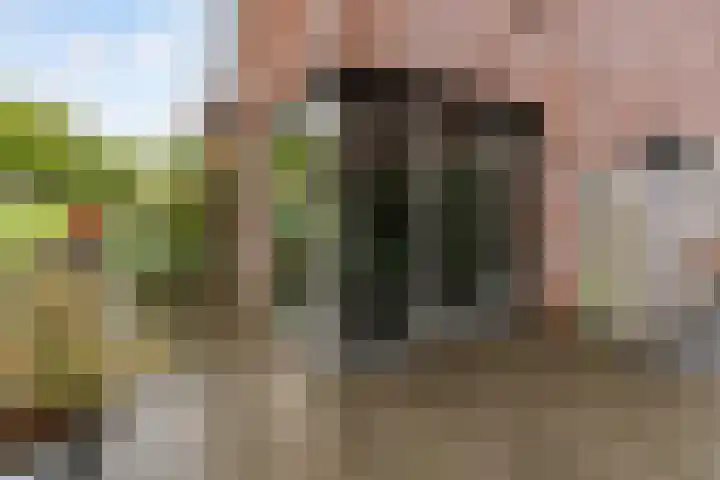 Kopenhagenlaan 86 Lelystad thumbnail 35