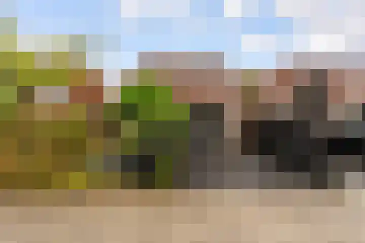 Kopenhagenlaan 86 Lelystad thumbnail 37