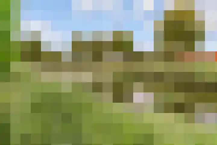 Kopenhagenlaan 86 Lelystad thumbnail 39