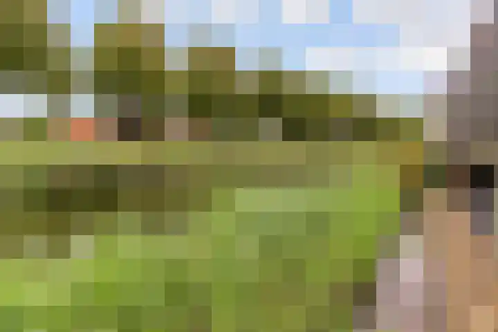 Kopenhagenlaan 86 Lelystad thumbnail 40
