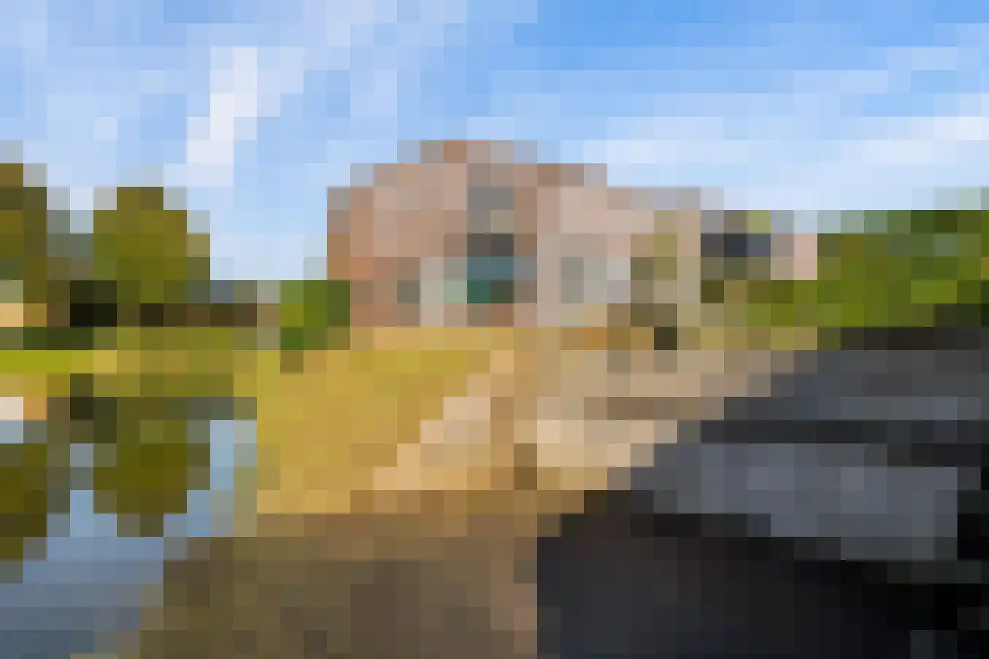 Kopenhagenlaan 90 Lelystad thumbnail 39