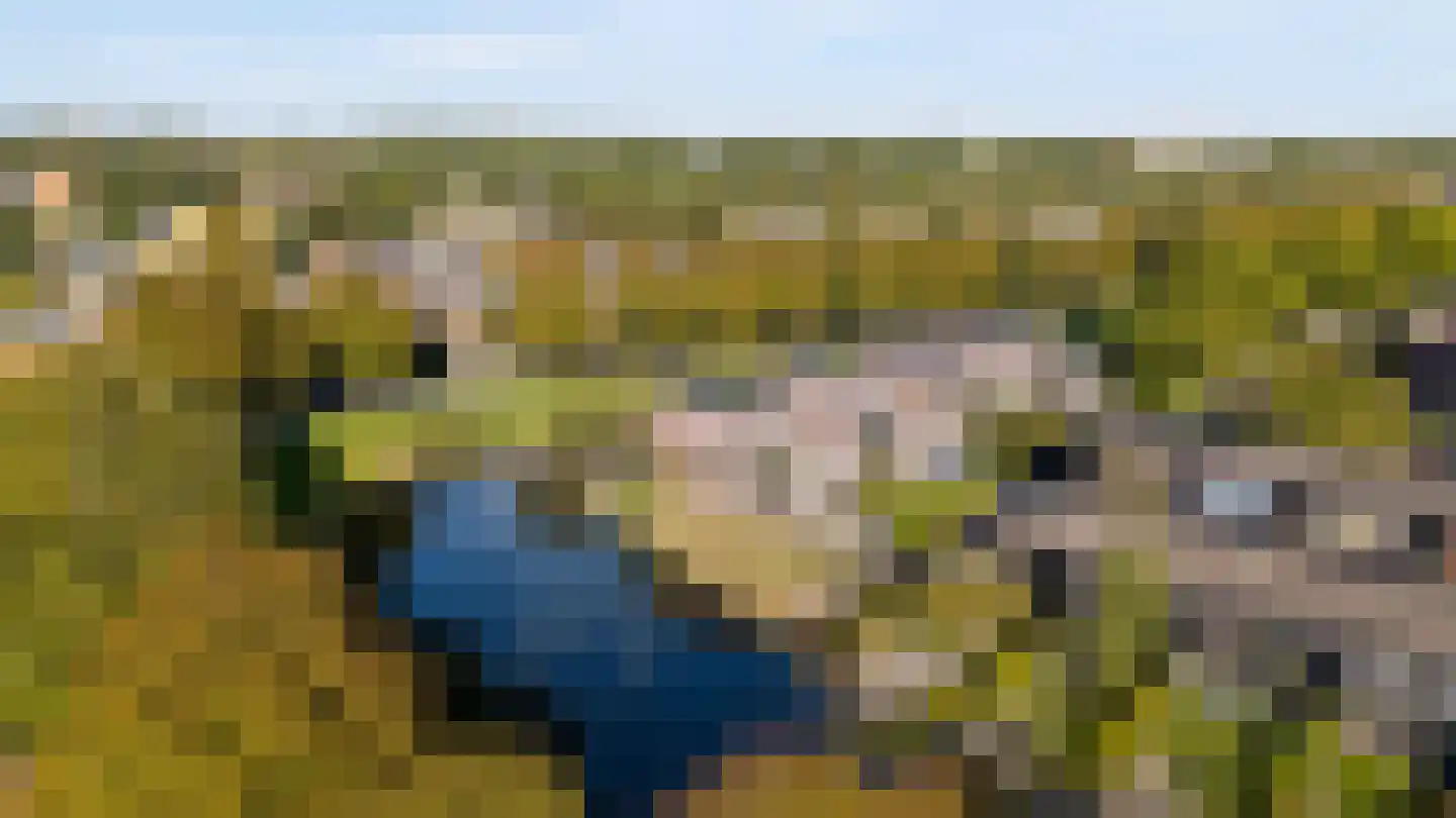 Kopenhagenlaan 90 Lelystad thumbnail 48