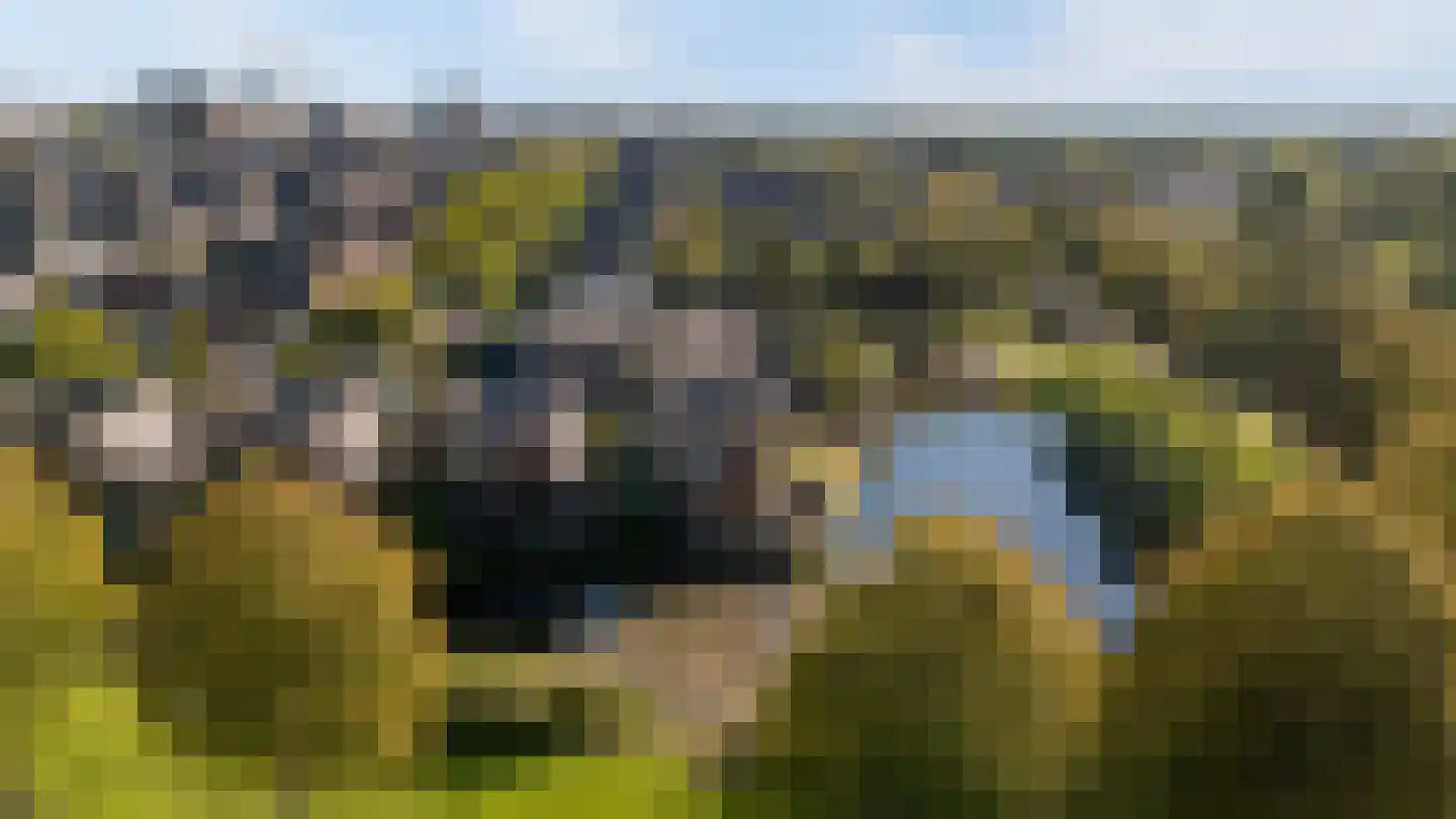 Kopenhagenlaan 90 Lelystad thumbnail 50