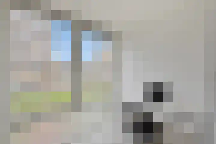 Kopenhagensingel 15 Alphen aan den Rijn thumbnail 16
